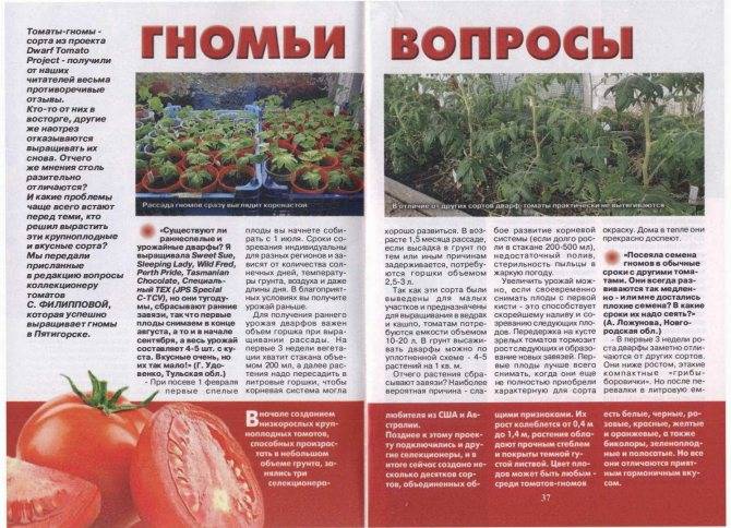 Самые урожайные сорта помидоров для открытого грунта