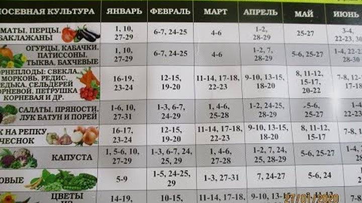 Календарь посадки томатов на рассаду в 2022 году. благоприятные дни в феврале и марте