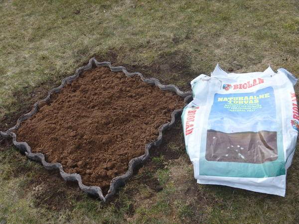 Как подкислить почву для голубики — самые эффективные средства