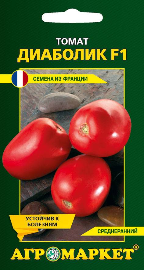 Характеристика и описание сорта томата диаболик, его урожайность