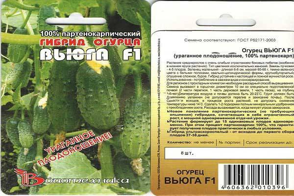 Сорт огурцов «метелица f1»: правила посадки и выращивания