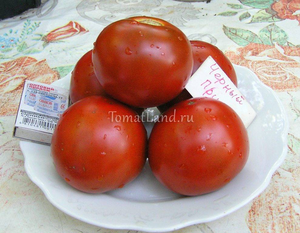Черри томат принц боргезе: описание сорта, особенности выращивания и ухода за старинным итальянским сортом