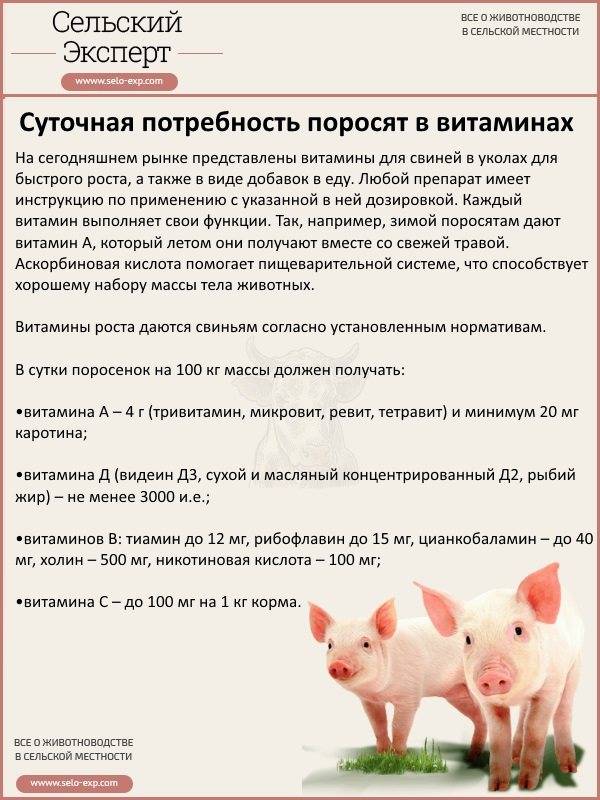 Добавки для быстрого роста свиней, стероиды и стимуляторы роста для свиней, бмвд для свиней