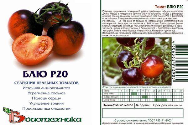 Описание сорта томата Блю Р20, особенности выращивания и ухода