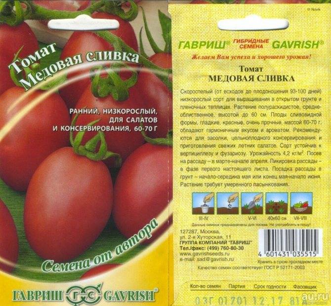 Неприхотливая новинка для огородов и парников — томат лев толстой f1: описание сорта и его характеристики