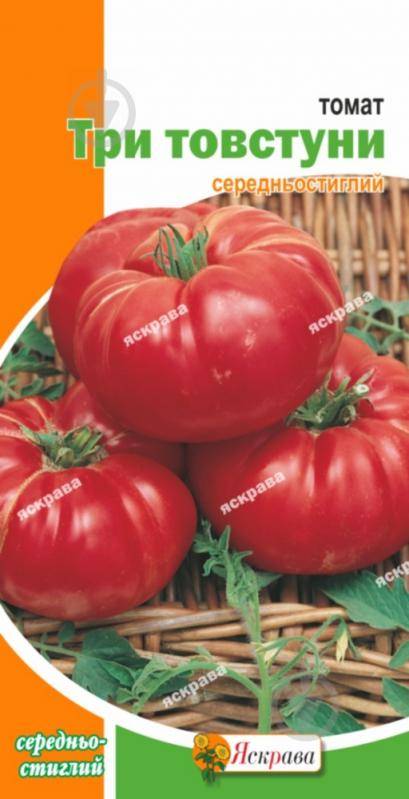 Описание сорта томат Три толстяка и его характеристики