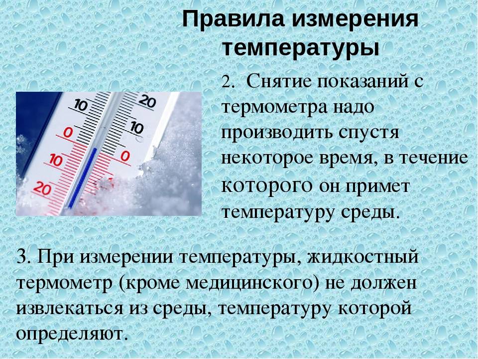 Температура тела у домашних животных в норме - мнение ветеринарного врача казакова а.а.