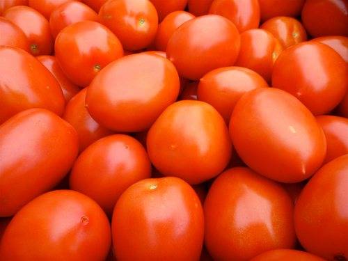 Описание сорта томата крем брюле, особенности выращивания и уход
