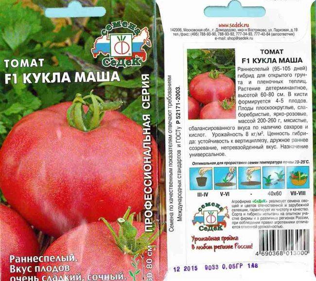 Элитные плоды на участке — томат мечта огородника: полное описание и советы