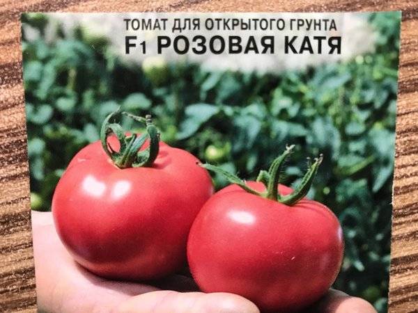 Томат "катя f1": характеристика и описание сорта, урожайность, фото, отзывы