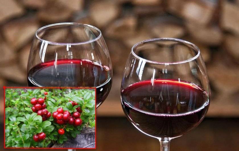 Вино из клюквы в домашних условиях: правила приготовления и рецепты