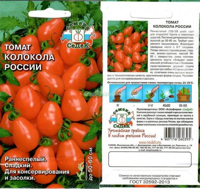 Описание томата санта клаус и выращивание в открытом грунте