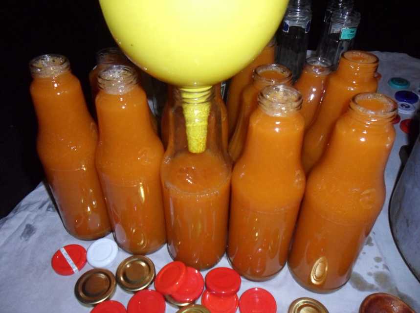 Как сделать сок из абрикосов на зиму в домашних условиях