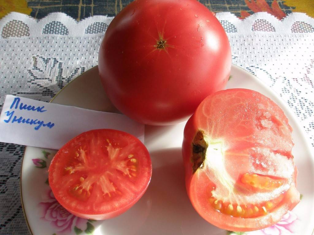 Характеристика томат «пинк уникум f1»: отзывы, фото куста – все о томатах. выращивание томатов. сорта и рассада.