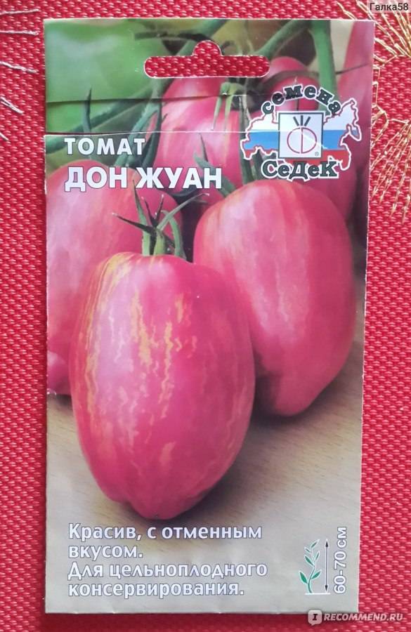 ᐉ томат дон жуан описание сорта фото отзывы - zooshop-76.ru