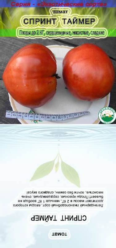 Томат спринт таймер: описание сорта и характеристика, фото и отзывы об урожайности помидоров