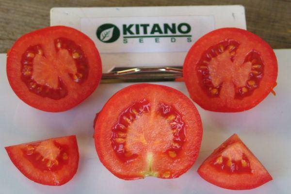 Устойчивый к засухе и болезням — томат асвон f1: характеристики сорта и советы по выращиванию