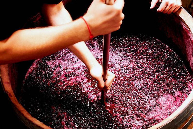 Лучшие рецепты домашнего вина - топ-10, как сделать вино дома