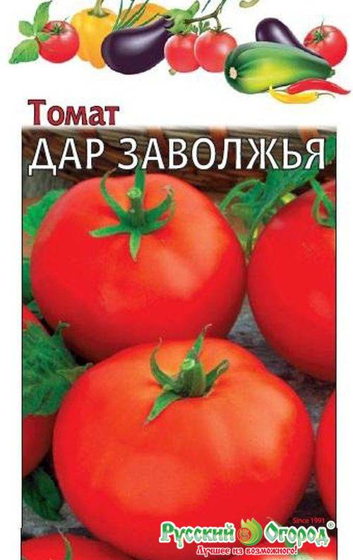 Томат дар заволжья: характеристика и описание красного сорта, отзывы тех кто сажал помидоры об их урожайности, фото семян