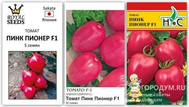 Характеристика томат «пинк уникум f1»: отзывы, фото куста – все о томатах. выращивание томатов. сорта и рассада.