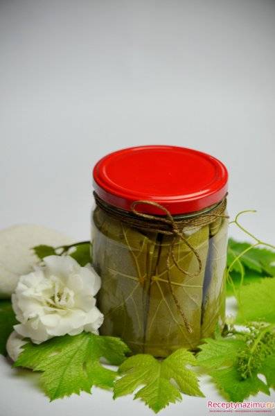 Виноградные листья для долмы на зиму как заготовить