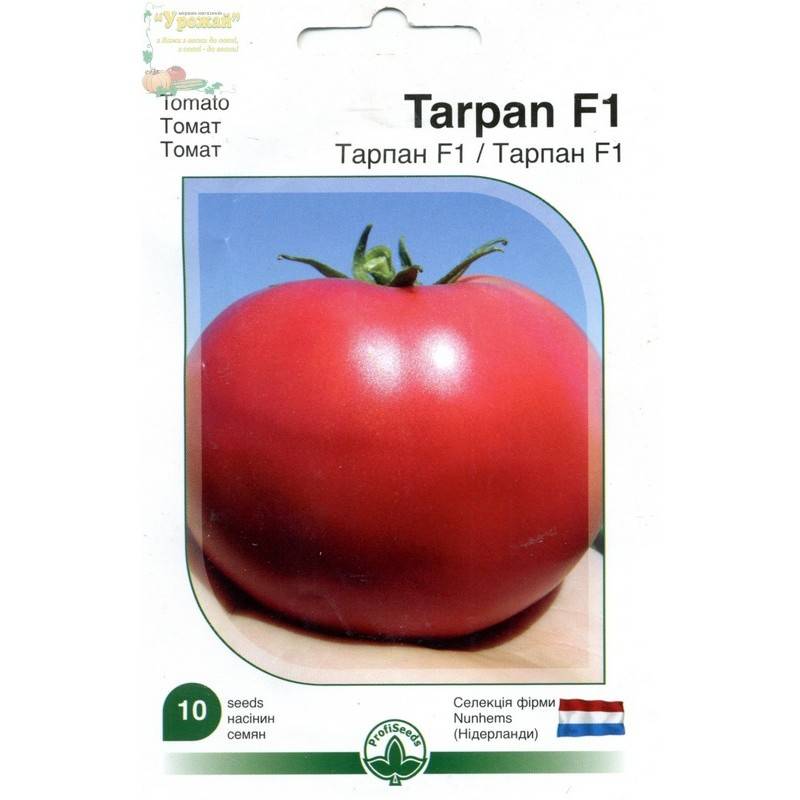 Томат тарпан: характеристика и описание сорта, выращивание с фото