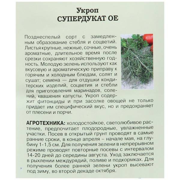 Как посадить и ухаживать за полынью абротан божье дерево - журнал огородника agrotehnika36.ru
