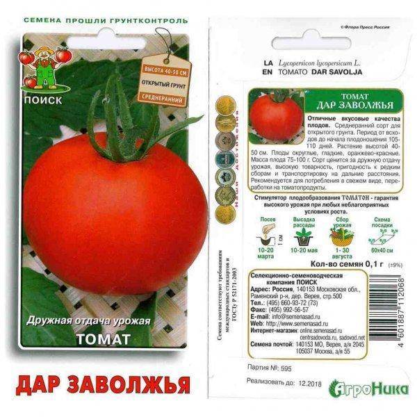 Представляем вам изящный томат бизнес леди — описание сорта и особенности его выращивания