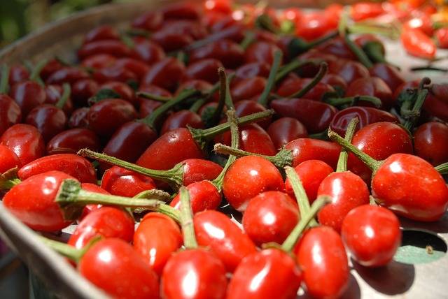 Зеленоплодный сорт с оригинальным сладким вкусом — томат чили верде: описание помидоров