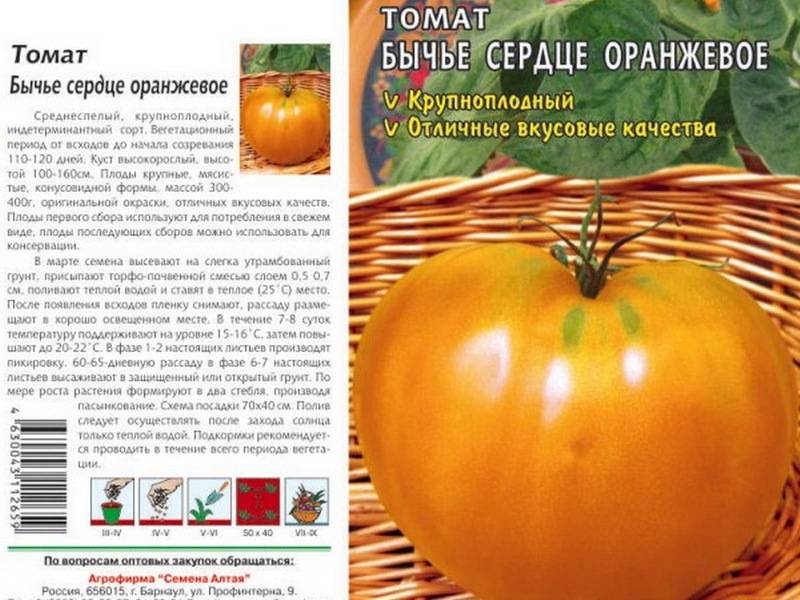 Томаты золотое сердце: описание и характеристика оранжевого сорта, отзывы, фото, урожайность, посадка и выращивание