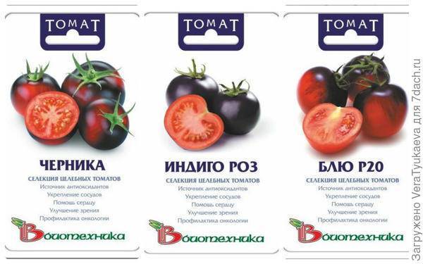Томат синий, osu blue: отзывы, фото, урожайность | tomatland.ru