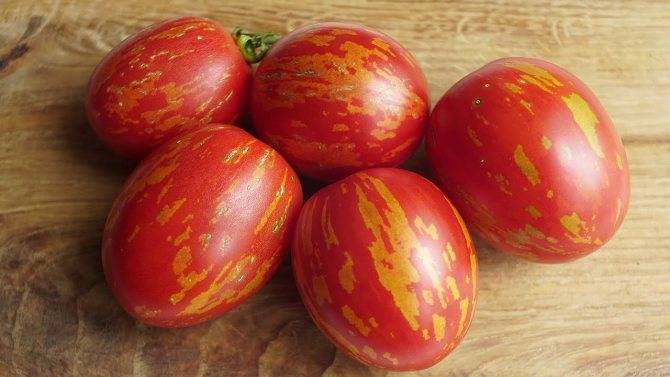 Томат пасхальное яйцо: описание сорта, характеристика, отзывы об урожайности, фото – все о помидорках