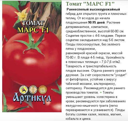 Ранняя спелость и высокий урожай: помидоры сорта «примадонна»