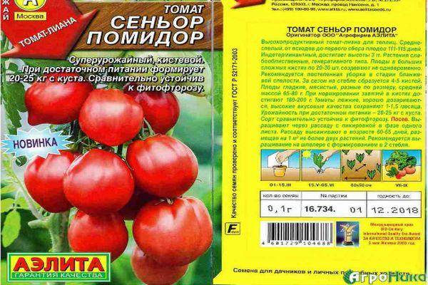 Лучшие сорта томатов по отзывам на 2021 год
