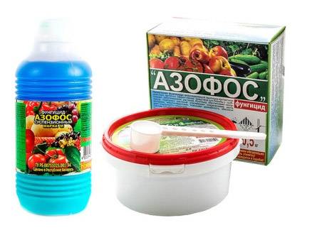 Азофос для томатов: инструкция по применению фунгицида, сроки действия обработки до дождя