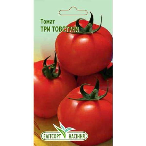 Описание сорта томат три толстяка и его характеристики