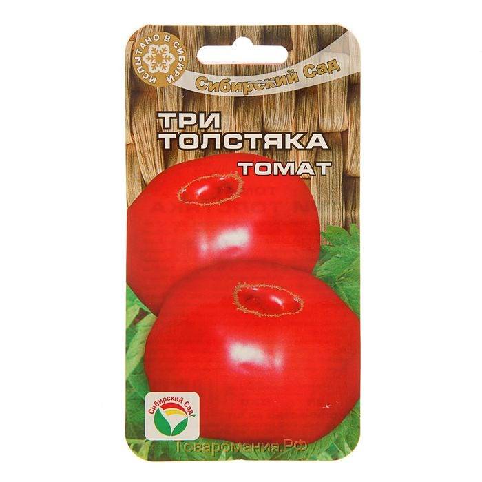 Сорт помидора «толстушка»: фото, видео, отзывы, описание, характеристика, урожайность