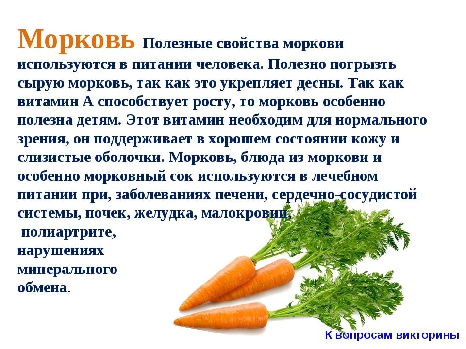 Червивая морковь: причины, эффективные методы борьбы