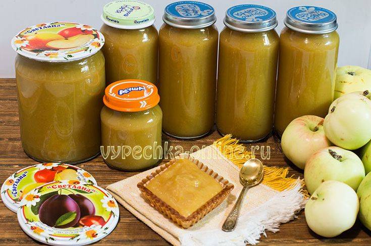 Пюре из антоновки: лучшие рецепты приготовления домашнего яблочного пюре