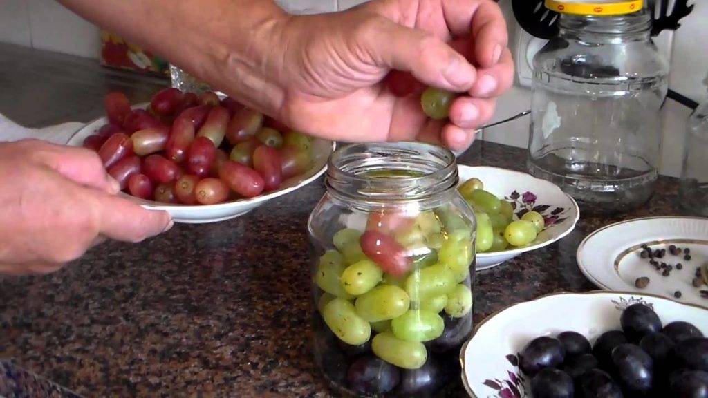 Как укрыть виноград на зиму: методы, их плюсы и минусы, советы садоводам