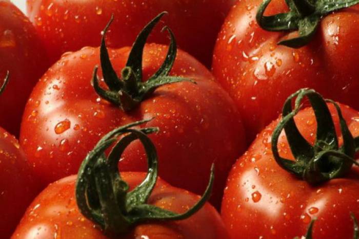 Описание, характеристика, посев на рассаду, подкормка, урожайность, фото, видео и самые распространенные болезни томатов сорта «шеди леди f1».
