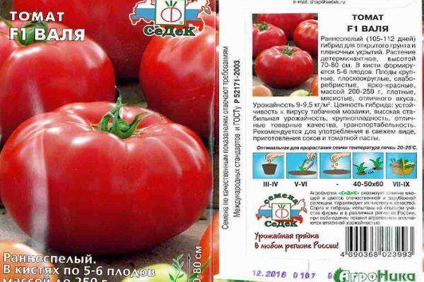 Описание сорта томата Валя, его характеристика и урожайность