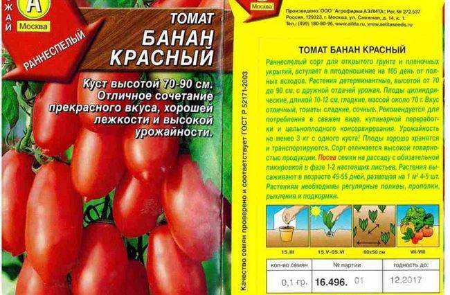 Томат казанова: описание сорта, отзывы, фото, урожайность | tomatland.ru