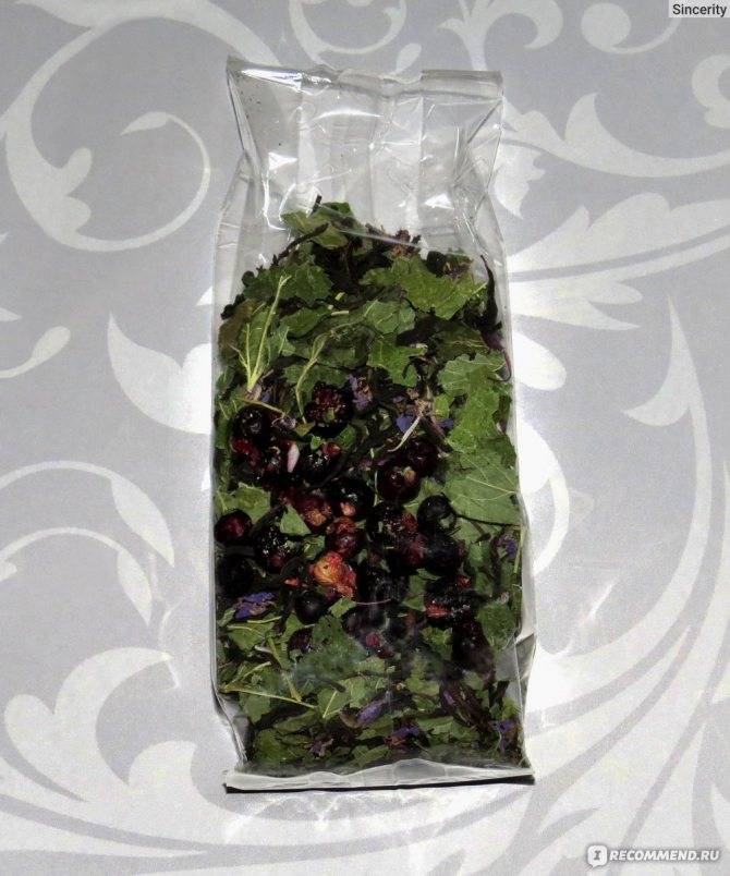Как собирать и сушить листья смородины для чая
