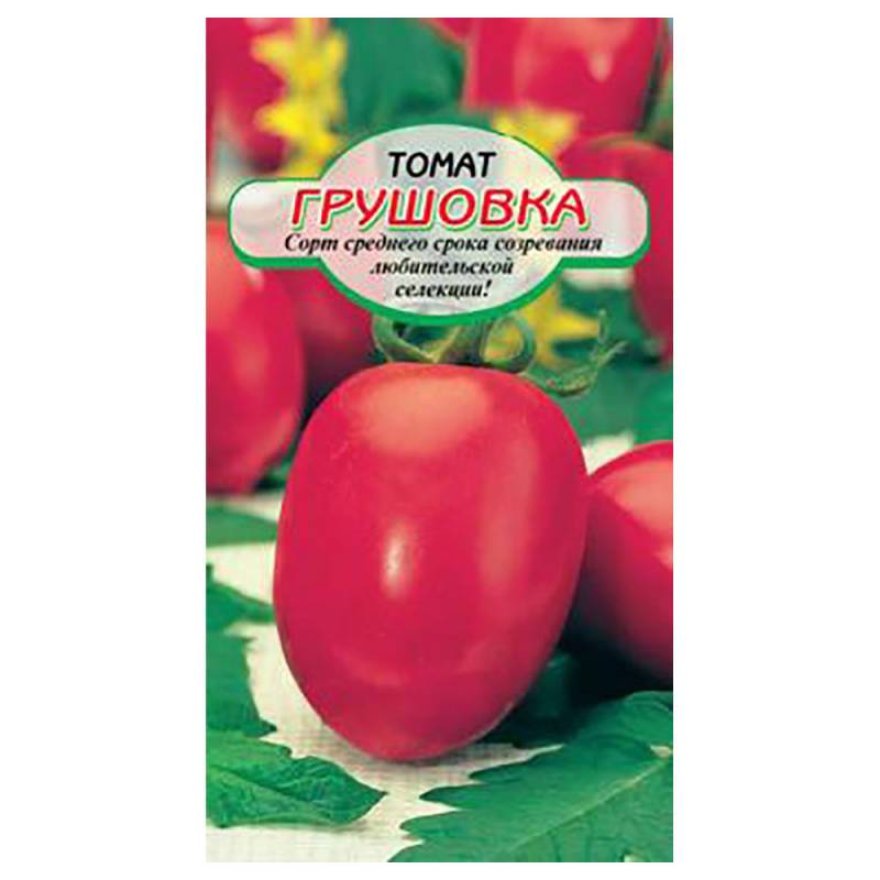 Грушовка: описание сорта томата, характеристики, агротехника помидоров
