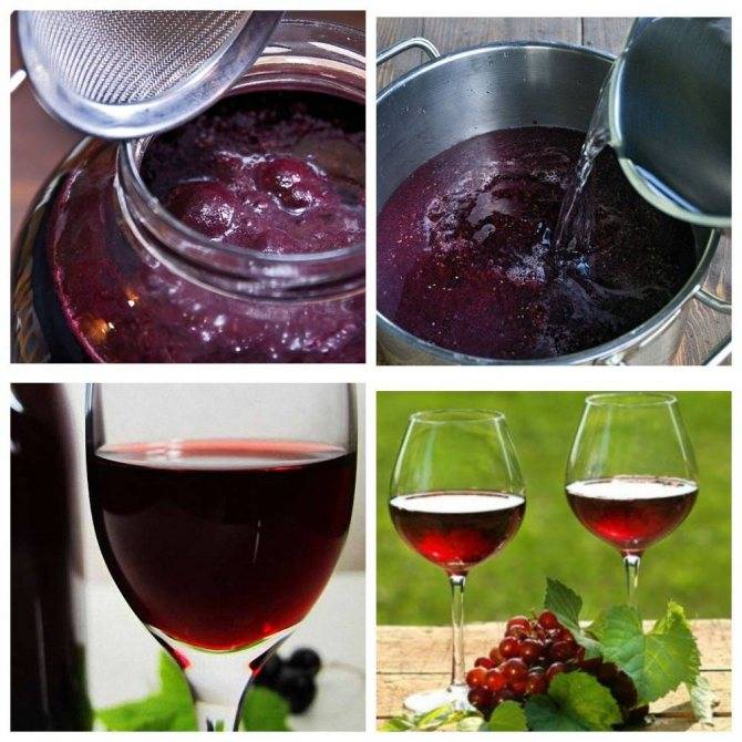 Как сделать арбузное домашнее вино дома