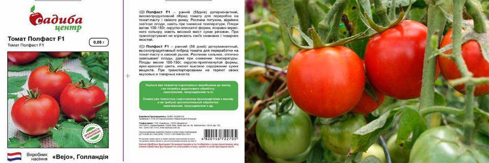 Томат полфаст f1: отзывы, фото, описание и характеристика сорта, урожайность