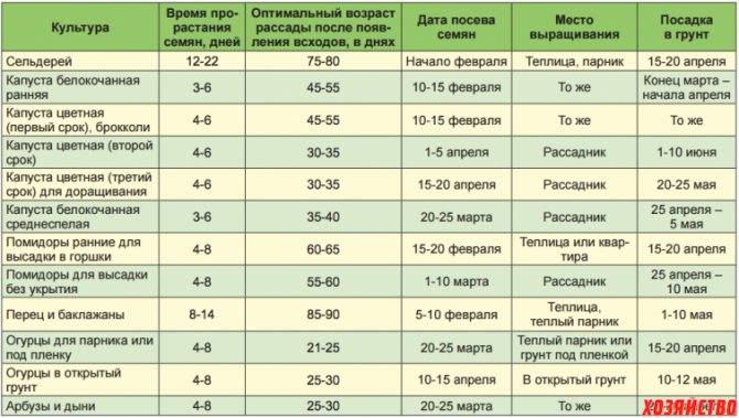 Когда сажать помидоры на рассаду в 2021 году + благоприятные даты по лунному посевному календарю на supersadovnik.ru
