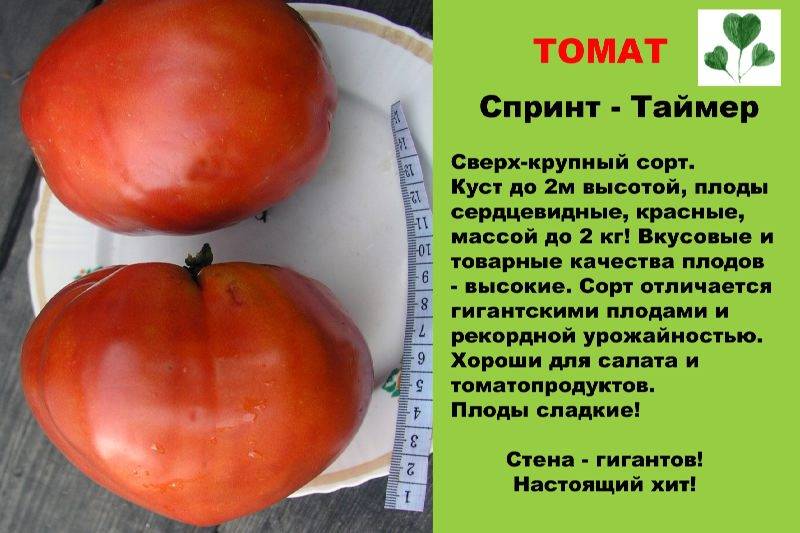 Описание сорта томата Оранж, его характеристика и урожайность