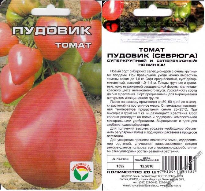 Описание сорта томата Феномена, его характеристика и урожайность